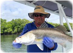 Trinity Inlet Barramundi