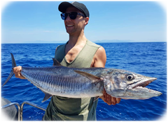 Large Spanish Mackeral