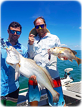 Black jewfish and golden snapper 