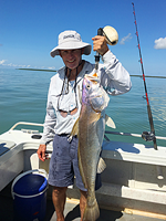 Large Black Jewfish