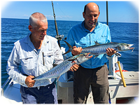 Pair of small Spanish Mackeral