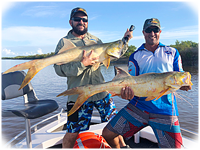 Duo of sendational Threadfin