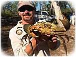 Mud crabs, yum. 