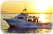 Quality Darwin fishing charter boats